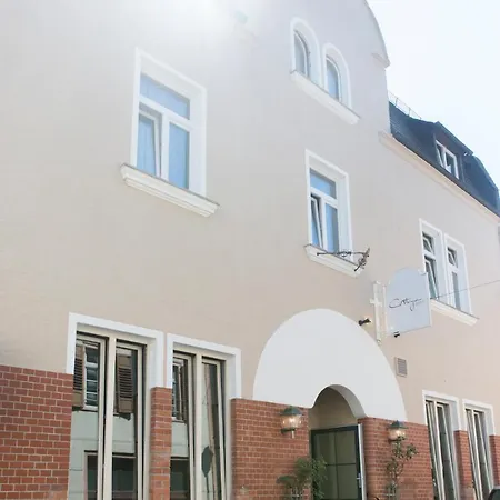 Hotel Rheingau Walluf